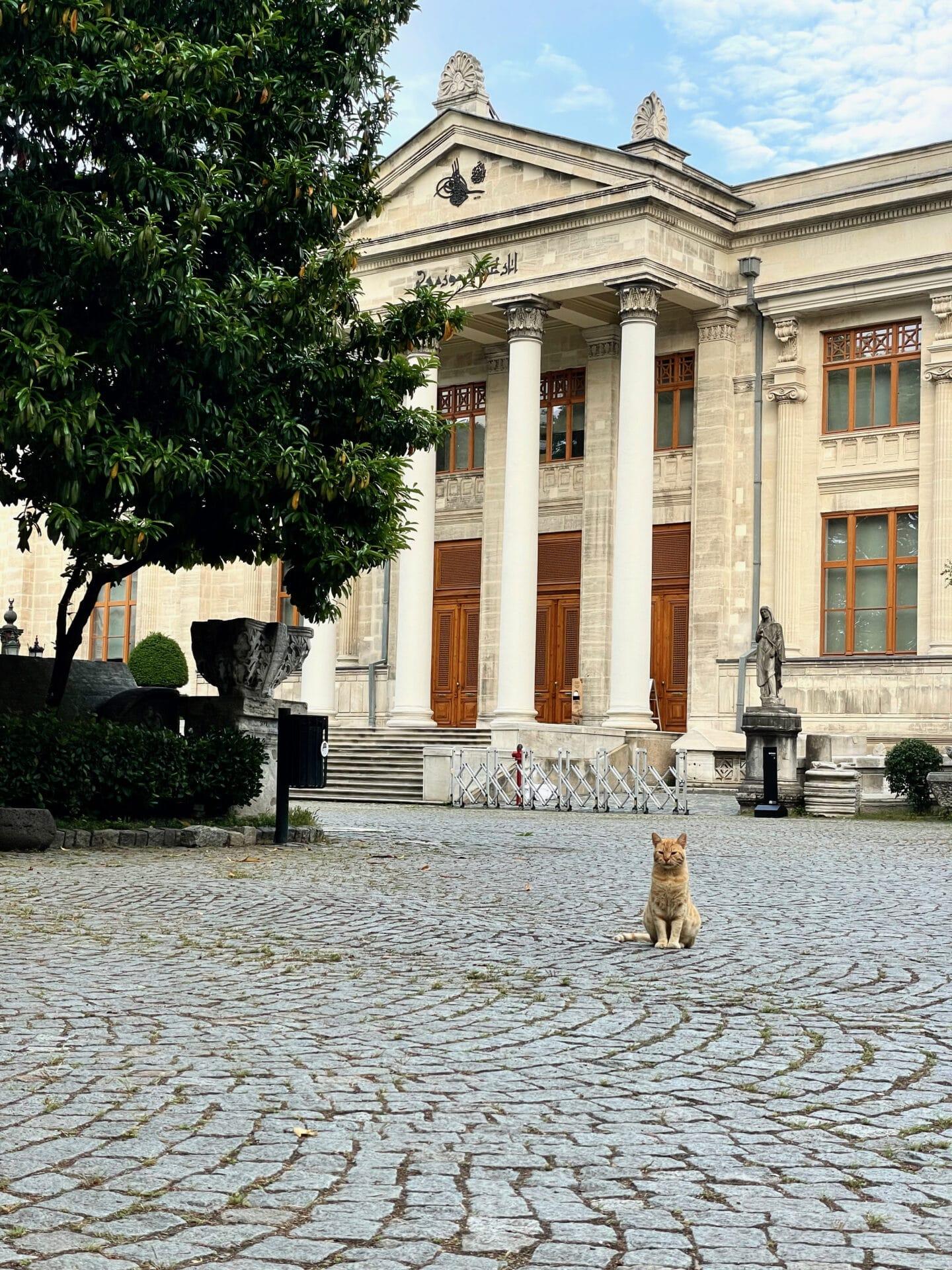 Istanbul Archaeological Museum