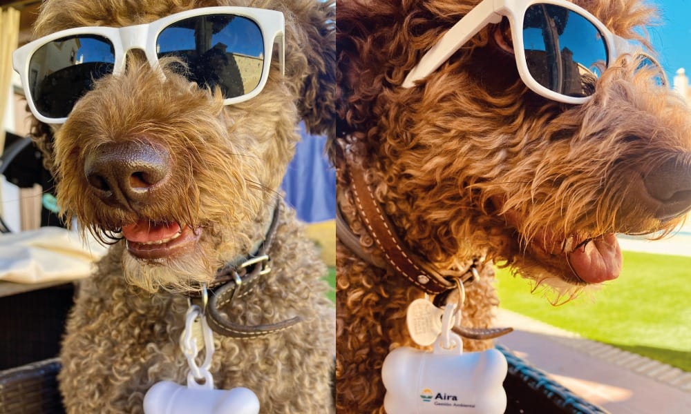 Nueva campaña de Aira Gestión Ambiental para sensibilizar a los dueños de mascotas con una Alcalá más limpia