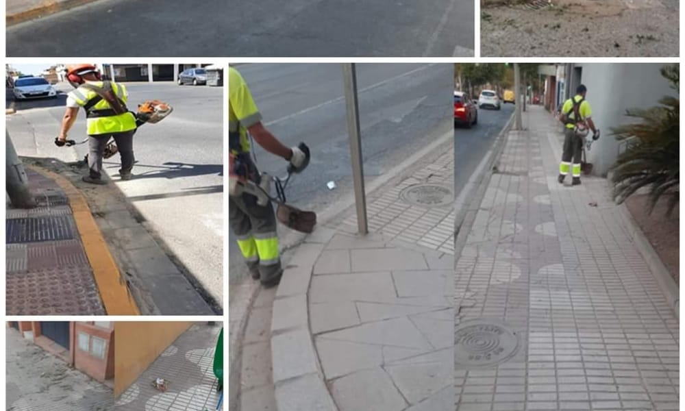 Actuación de limpieza , eliminación de malas hierbas