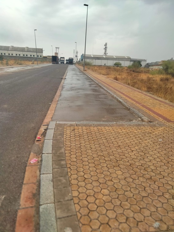 Plan Especial de limpieza para la intervención en los Parques Empresariales de Alcalá de Guadaíra