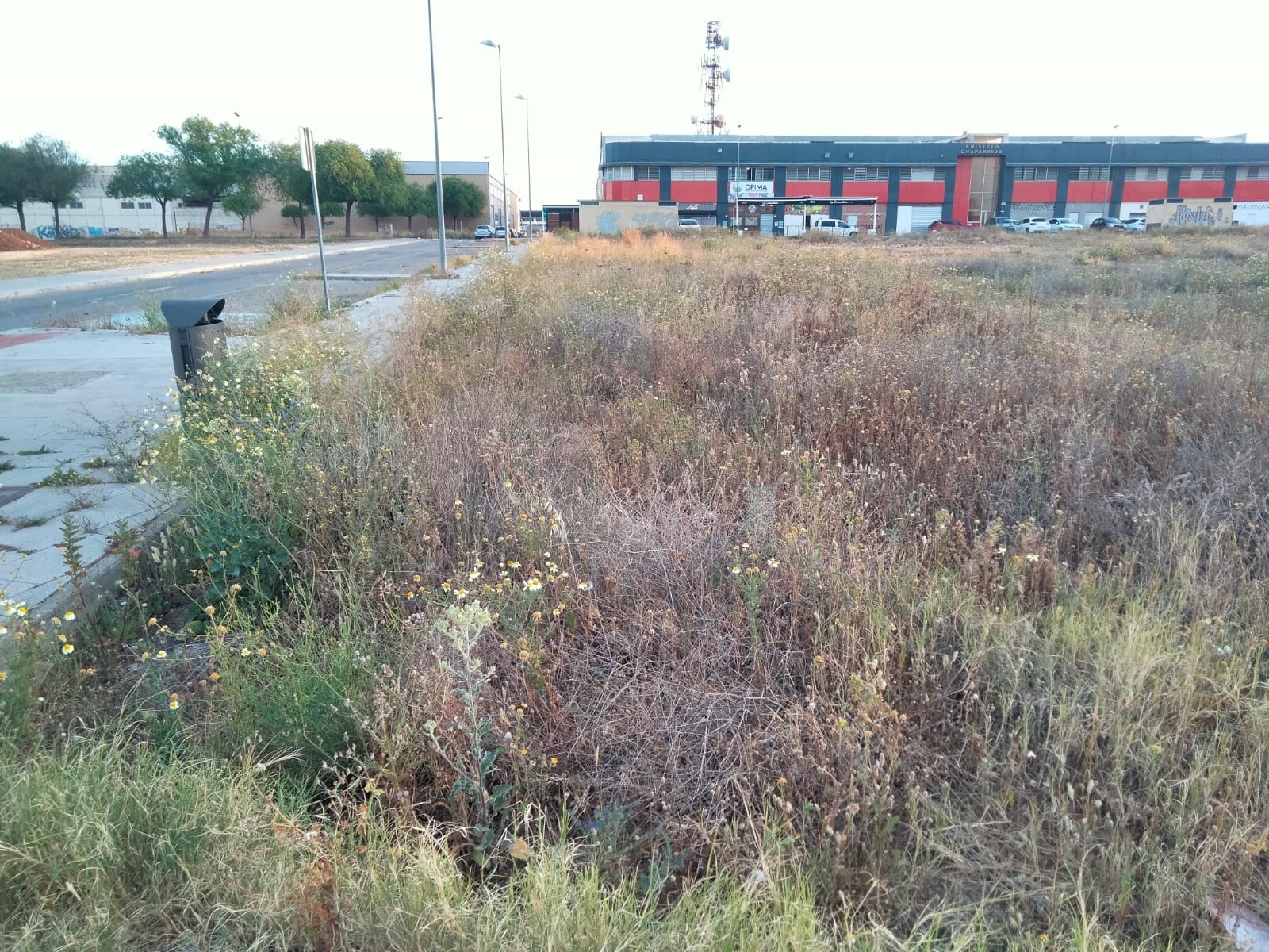 Aira se encarga de la limpieza y eliminación de escombros en los solares municipales de Alcalá de Guadaíra