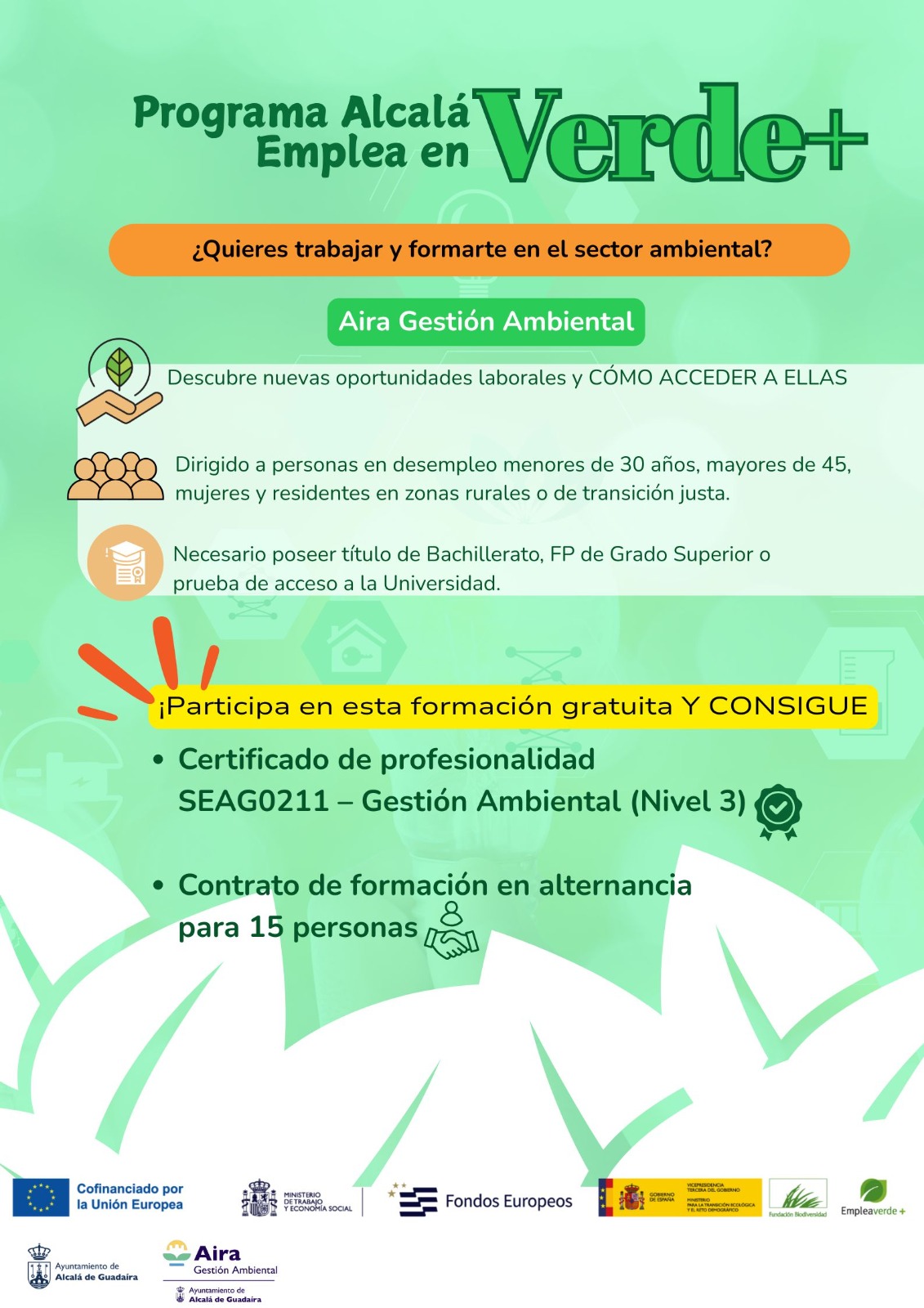 El lunes se abre el plazo para participar en el programa de mejora de competencias Alcalá Emplea en Verde+