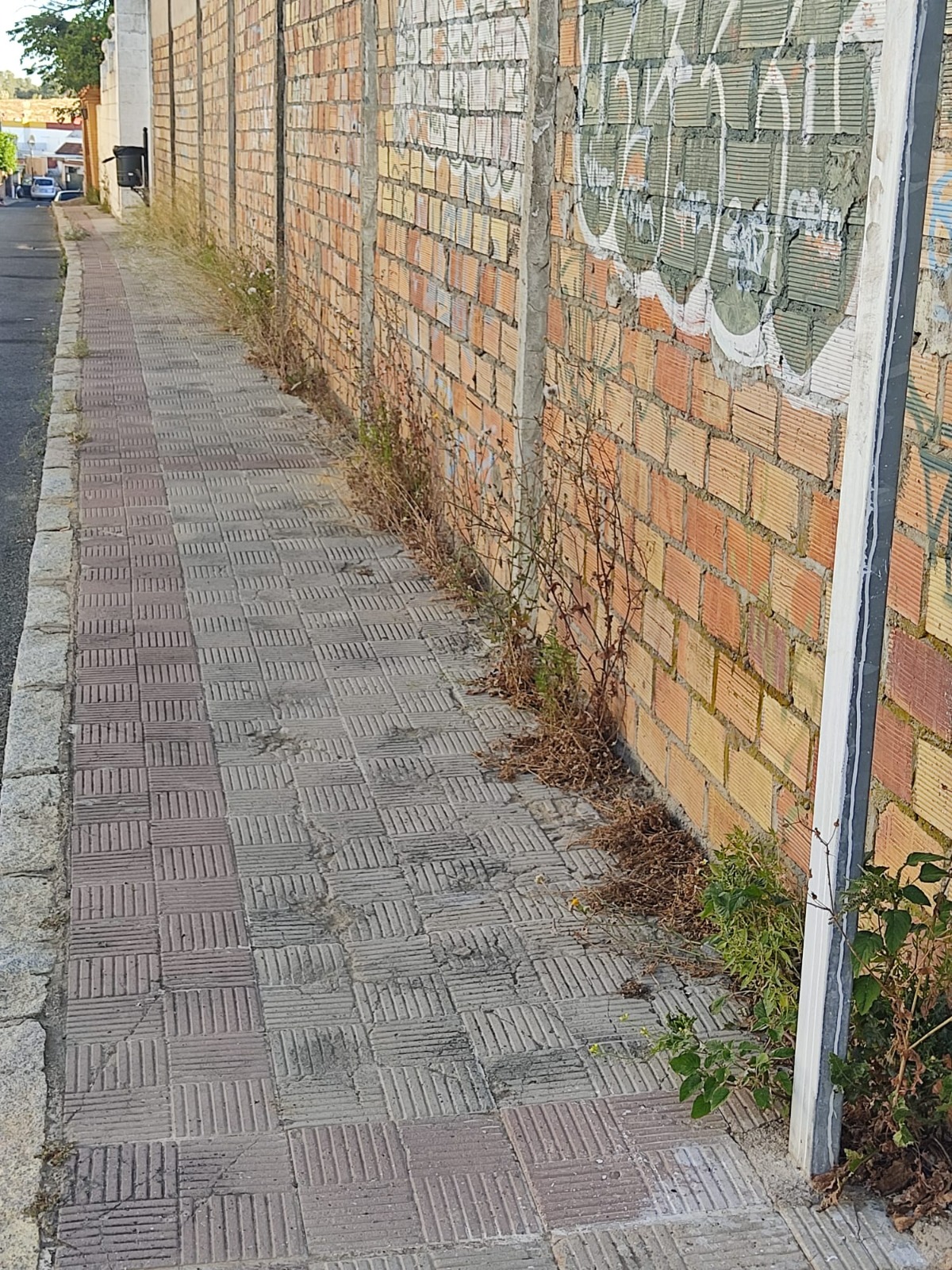 Aira inicia una nueva actuación para la eliminación de malas hierbas en las vías públicas de Alcalá de Guadaíra