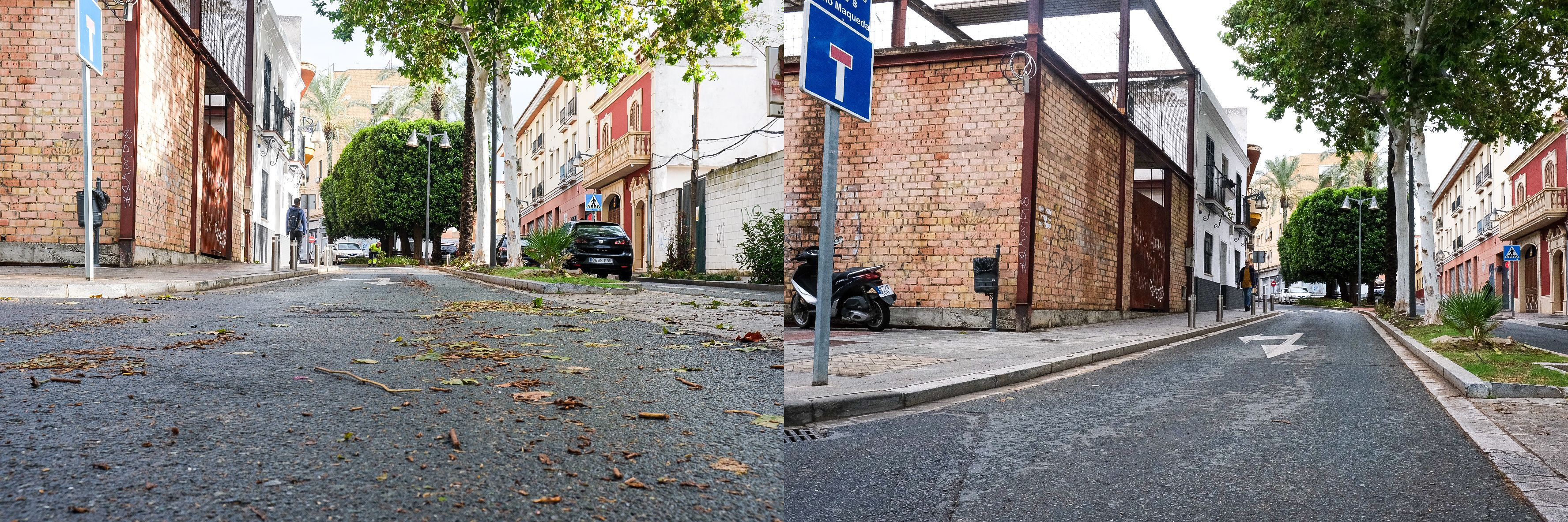 Más de 40 personas trabajan en la vuelta la normalidad tras el temporal