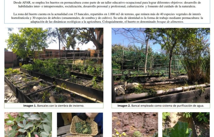 Huerto en Permacultura de AFAR: un puente entre la Educación Ambiental y la Educación Social.