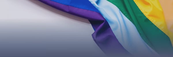 Cómo garantizar los derechos del colectivo LGTBI en tu empresa - II Edición