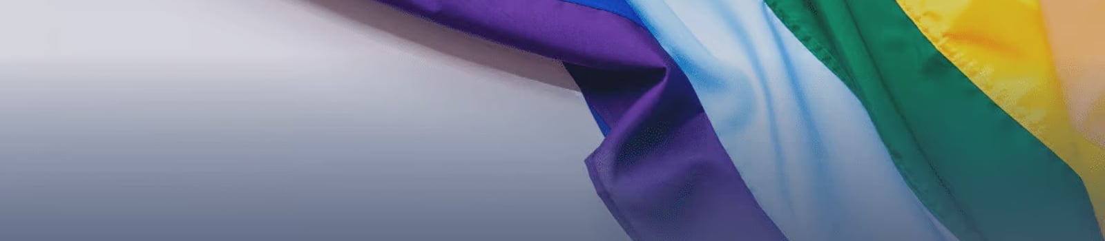 Cómo garantizar los derechos del colectivo LGTBI en tu empresa - II Edición