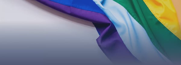 Cómo garantizar los derechos del colectivo LGTBI en tu empresa - II Edición