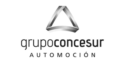 Grupo Concesur