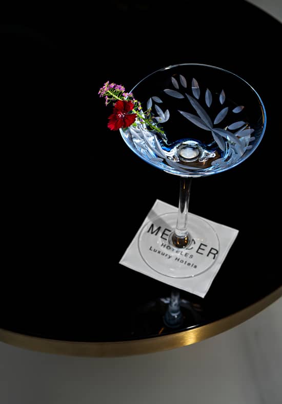 Cóctel en el Hotel Mercer Madrid