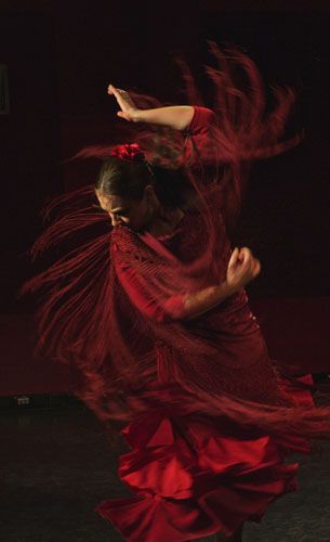 Noche de flamenco
