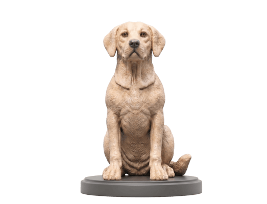 Figuras 3D Personalizadas de Mascotas: El Nuevo Lenguaje del Amor Incondicional
