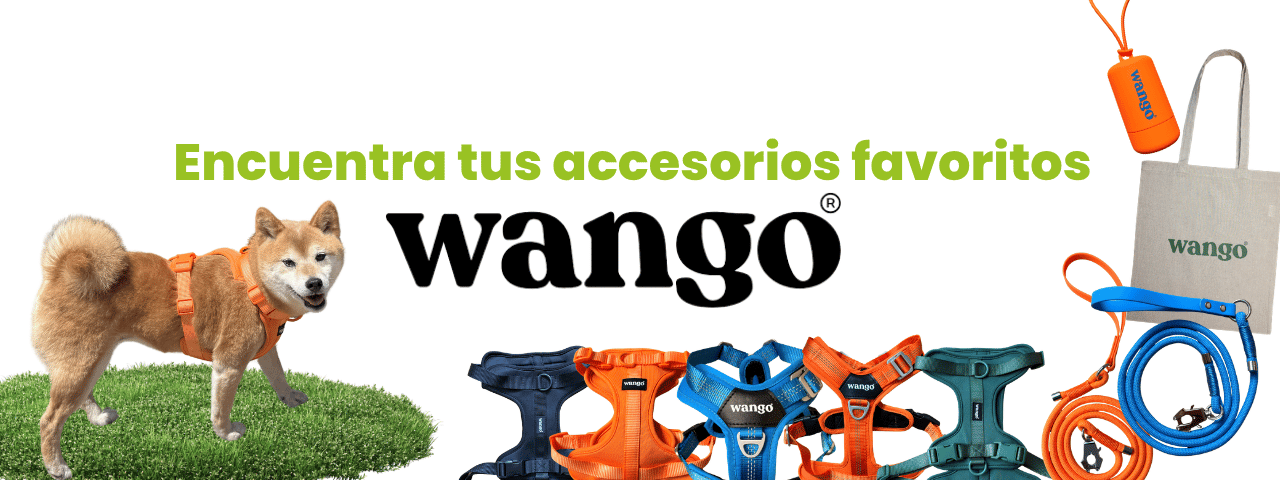 WANGO B2C