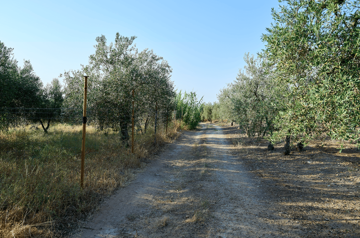 Cantera Huerta de Las Monjas