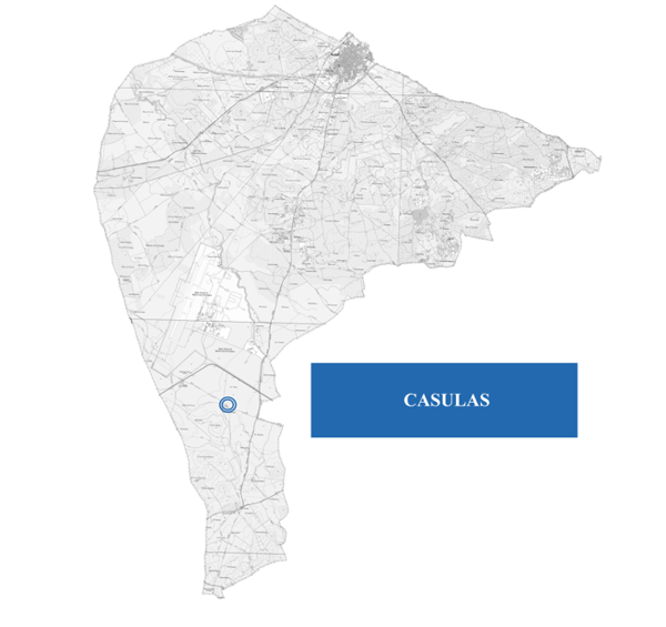 Cásulas