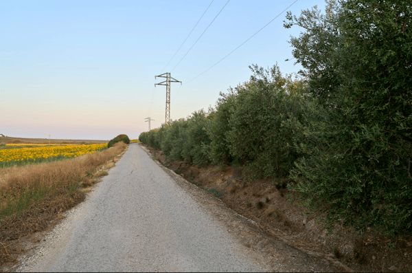 La Rodela