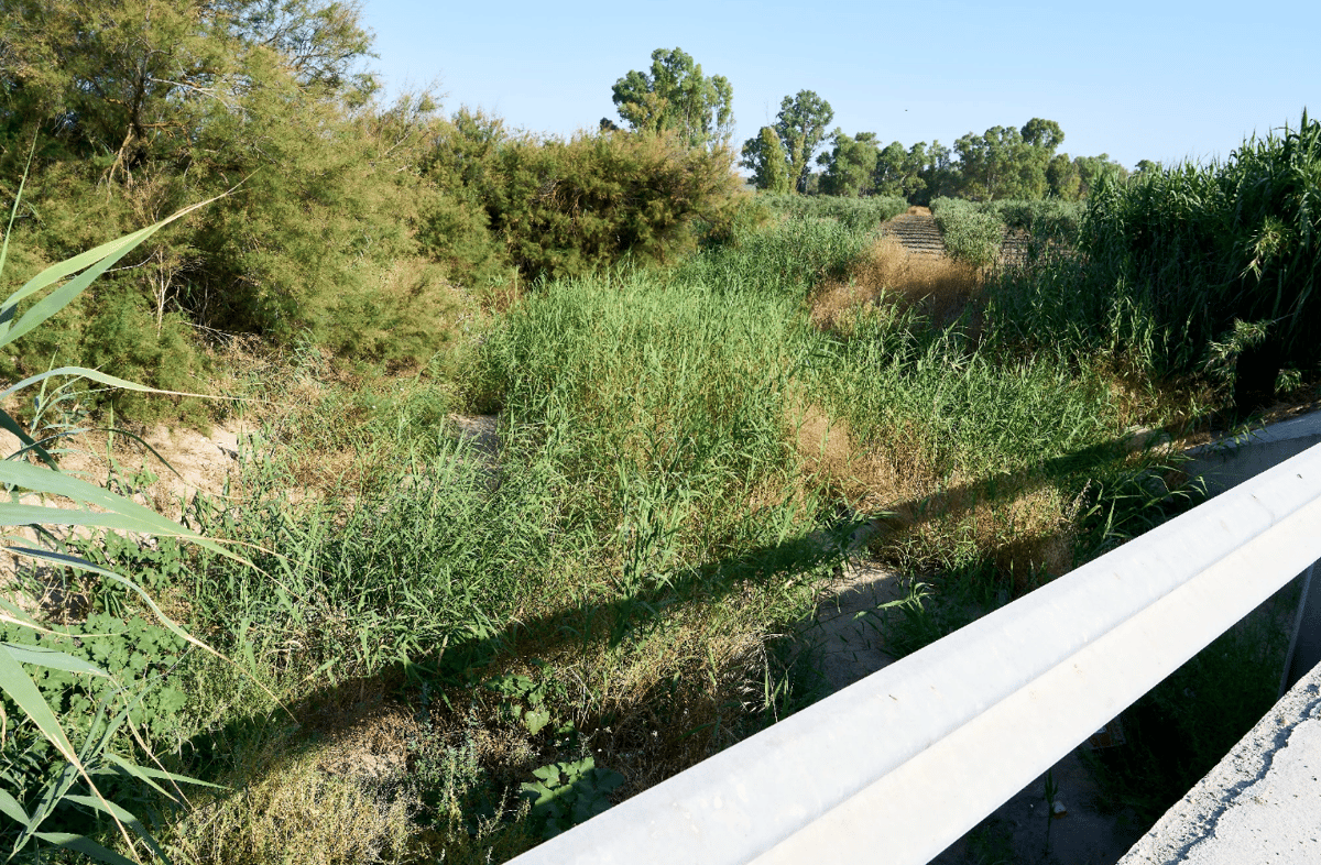Noria de Mari León