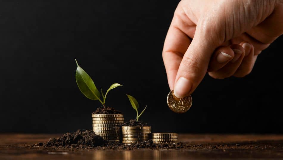 qué puedo vender para ganar dinero sin invertir mucho