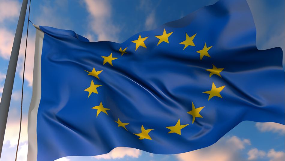 Para qué sirve el modelo 349