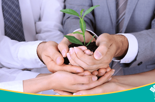 5 Tips para cuidar el medio ambiente en la oficina