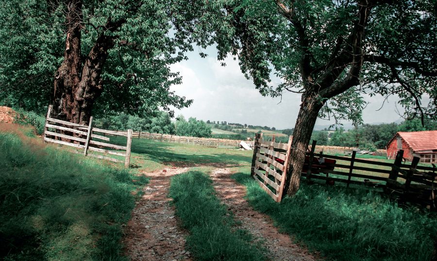 Trabajador autónomo agrario | Cómo tributa y cuánto paga