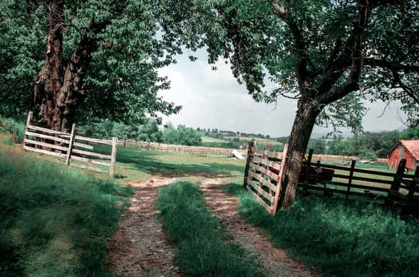 Trabajador autónomo agrario | Cómo tributa y cuánto paga