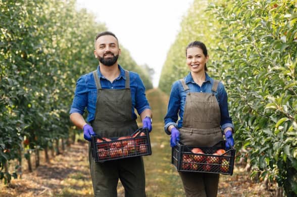 Autónomo colaborador familiar | Guía + alternativas