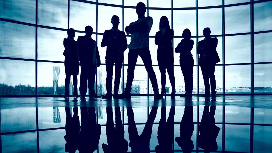 Reparto de dividendos