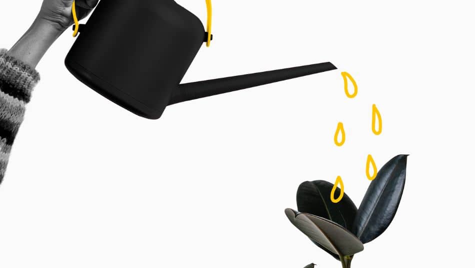 Estrategia de crecimiento