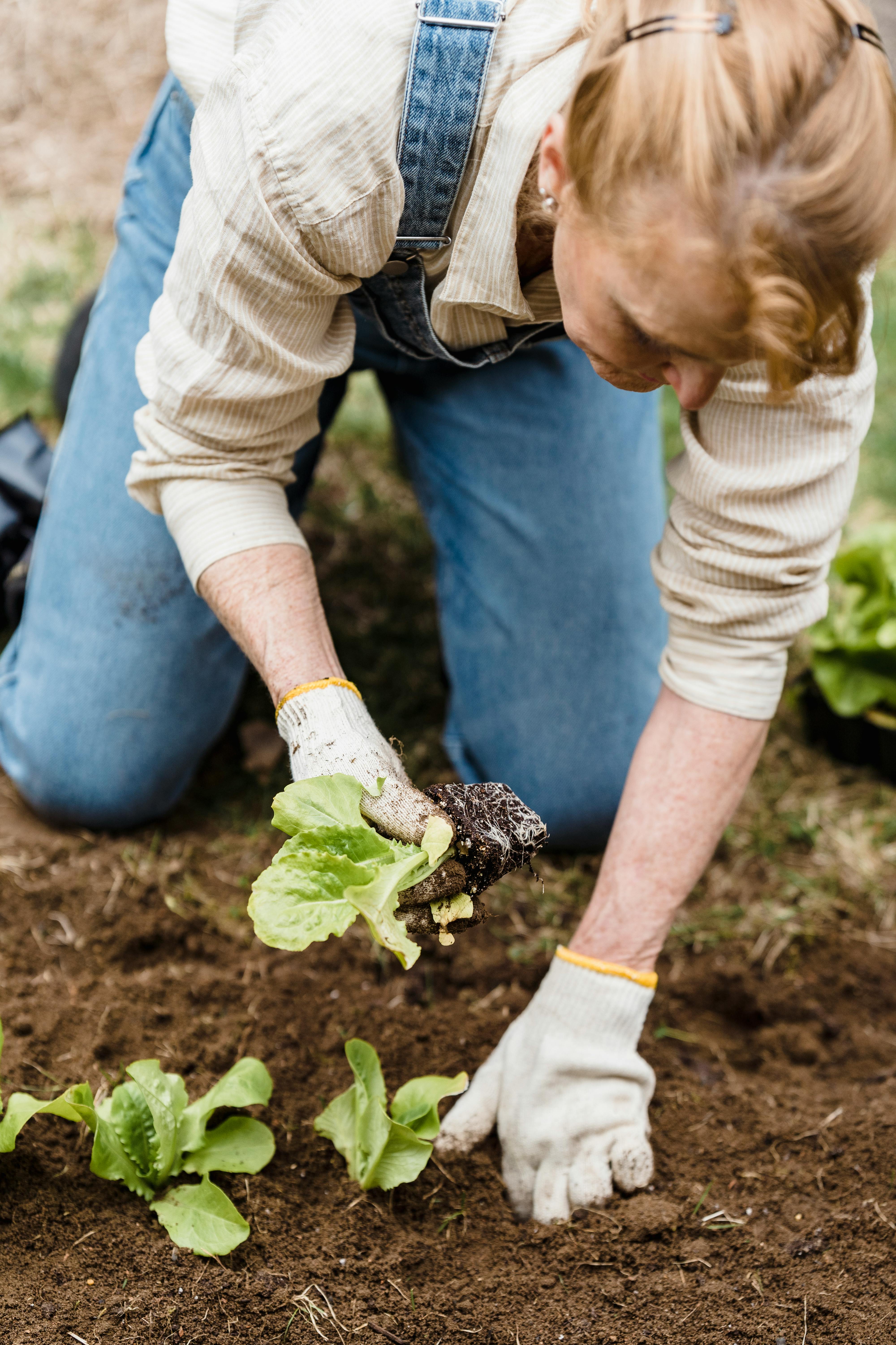 E005 INSTALACIÓN Y MANTENIMIENTO DE JARDINES Y ZONAS VERDES - Edición 2