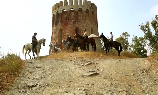 Proyecto de Rehabilitación Fuerte Piniés