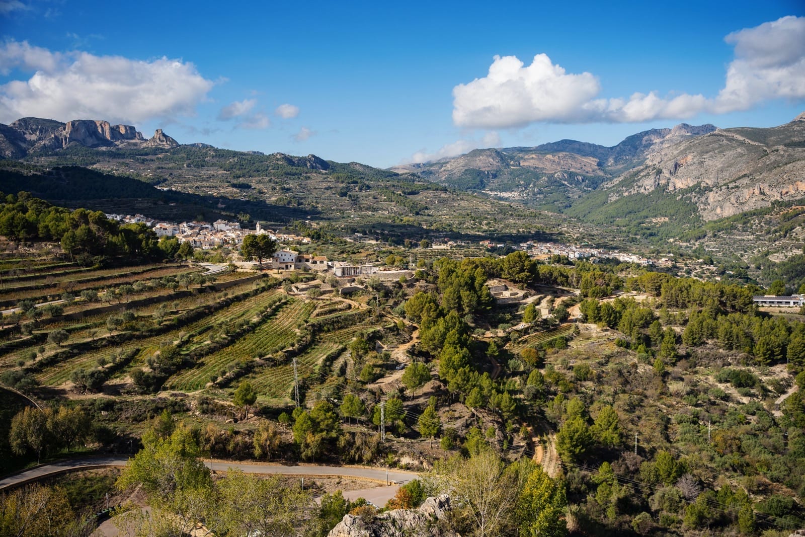 La España rural como oportunidad para los operadores	