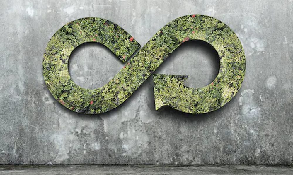 LA ECONOMÍA CIRCULAR UNA VIEJA AMIGA QUE SE VISTE CON ROPA MODERNA