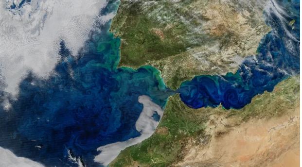 El océano está cambiando de color