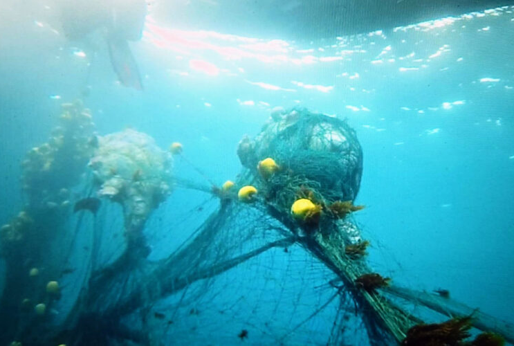 Redes de la muerte": Verdemar pide al MITECO actuar contra la pesca ilegal que devasta los fondos marinos