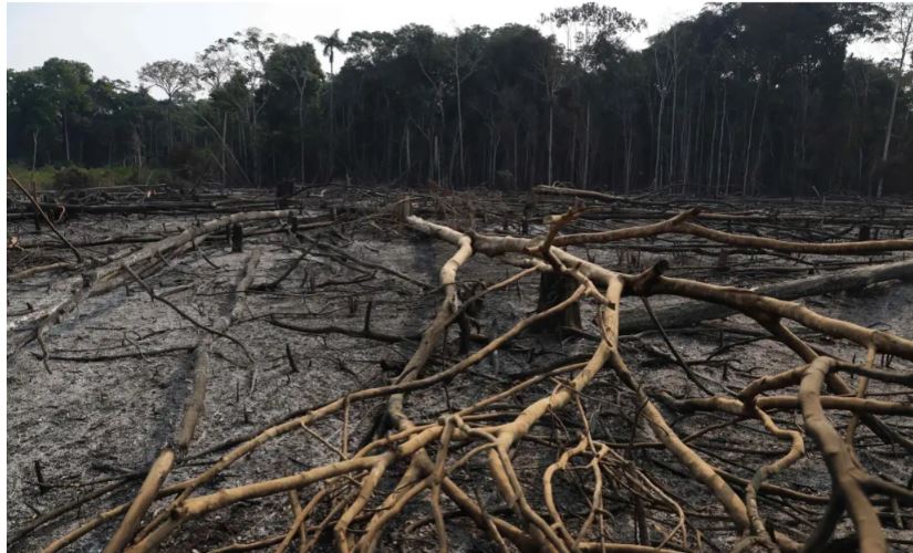 La OMM prevé temperaturas mundiales sin precedentes en los próximos cinco años