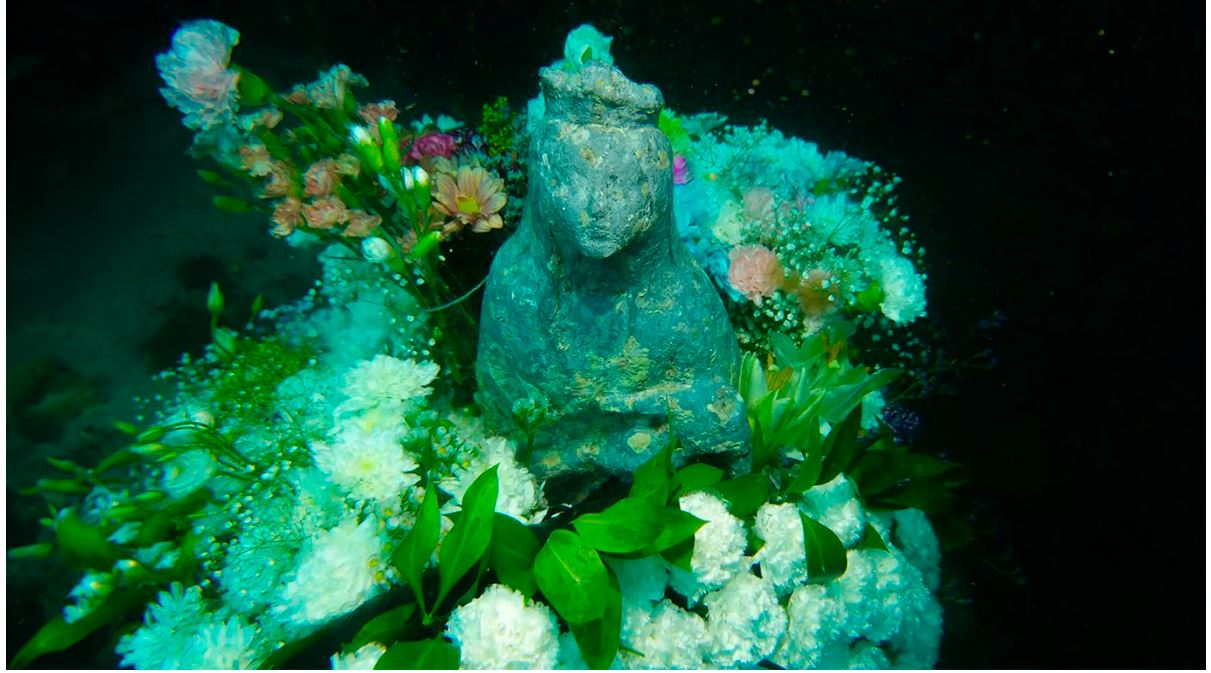 Buceando con Nautik | Ceuta, la puerta de África, edén de corales, gorgonias y portentosos atunes