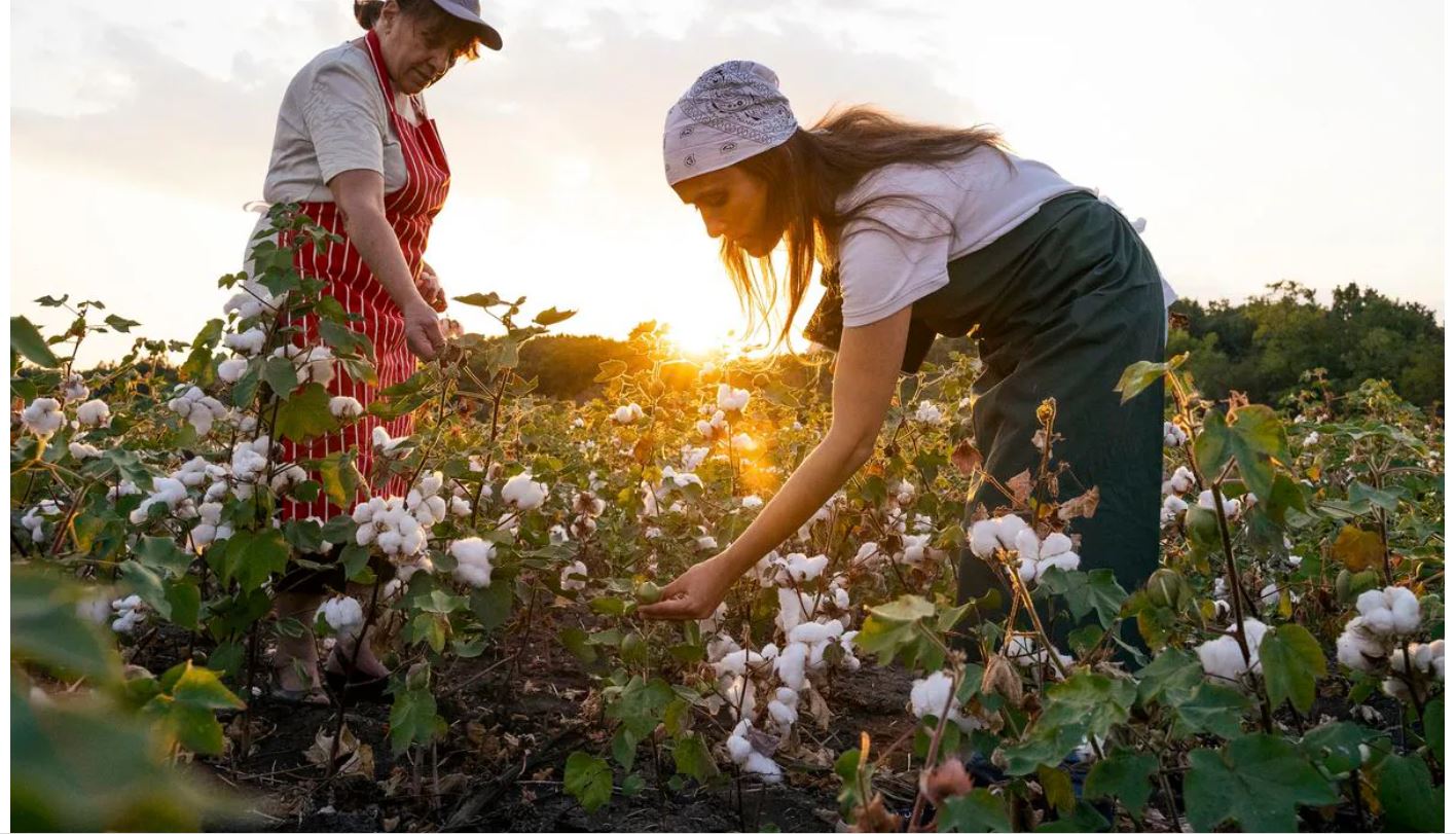 El cambio climático obliga a las empresas a transformarse